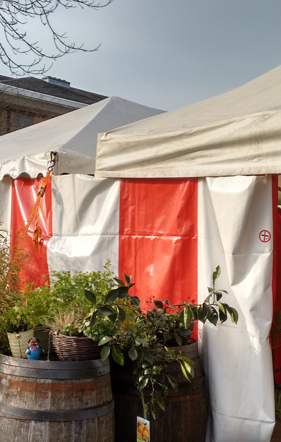 IMG_20160313_153824797_HDR